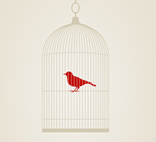 服务器攻击软件